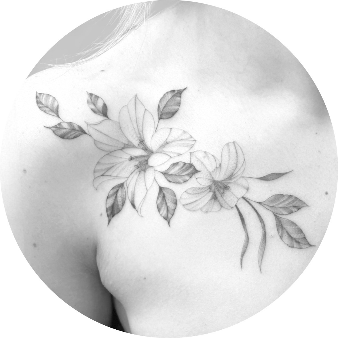 ✨Delicate lines and soft shading for Jordan 🌿
Loved working on this floral piece — gentle, flowing, and balanced with the collarbone.
Thank you for your trust ✨
#sticksanddotstattoo #finelinetattoo #floraltattoo #delicatetattoo #colarbones #botanicaltattoo #blackandgreytattoo #femininetattoo #tattooartist #tattooart #mdtattooartist #abctattoo #oldelinetattoo