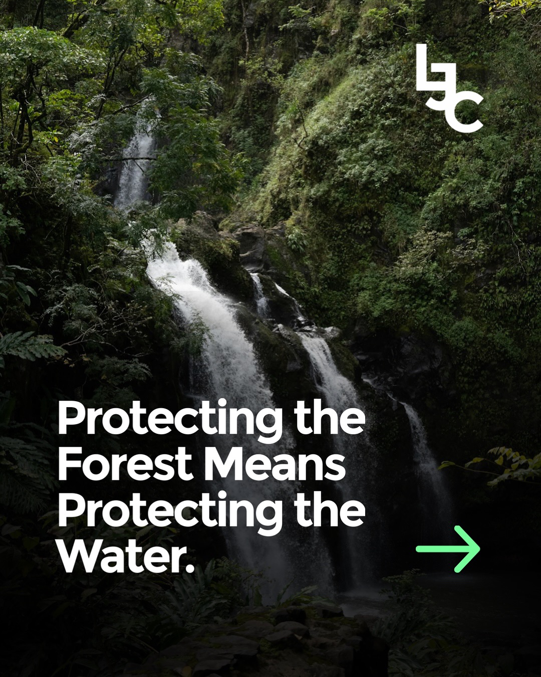 Protecting the forest means protecting the water.
Hawai’i’s forests aren’t just scenery — they’re living watersheds. Native trees like koa and ‘öhi’a pull moisture from the clouds, slow the rain, and feed the streams that give us wai. When the forest disappears, so does our clean water.
Healthy forests = healthy wai = healthy Hawaii.
Malama i ka ulu la’au, malama i ka wai.
→ Share this to protect what connects us all — from the clouds to the sea.
#LostJungleCo #ProtectHawaiʻi #NativeForests #EcoHawaiʻi #Explore #ForYou #FromMaukaToMakai #ForestToSea #GetLostForGood