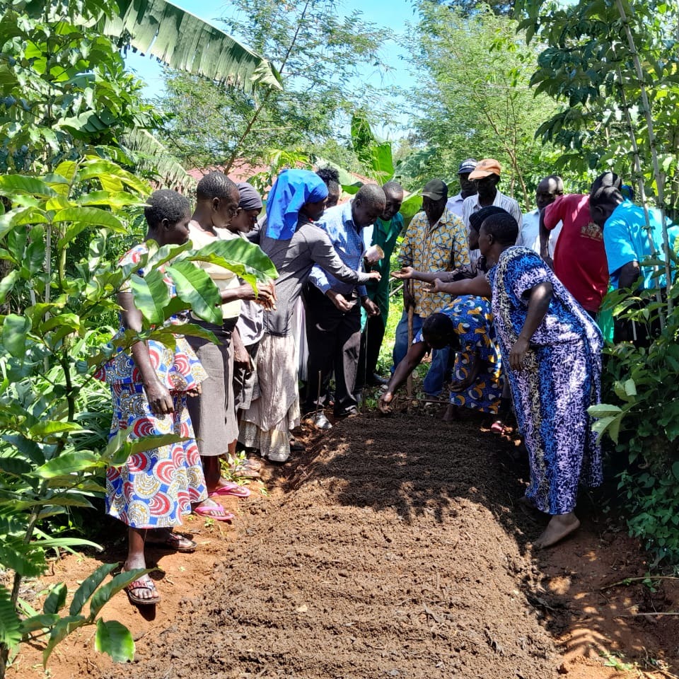 Practical session on nursery establishment & management with our lead farmers