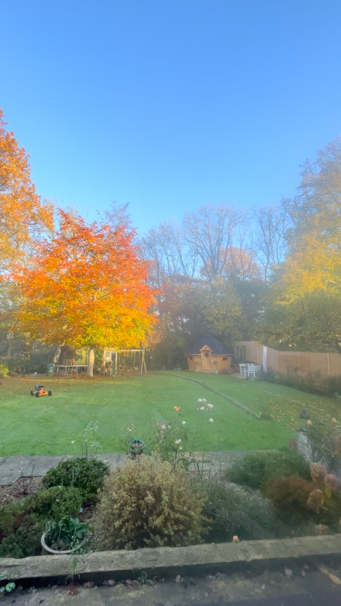 🍁 What a gorgeous autumnal morning it is 🍂
#autumn 🍂 #mornings #markbeech #kent