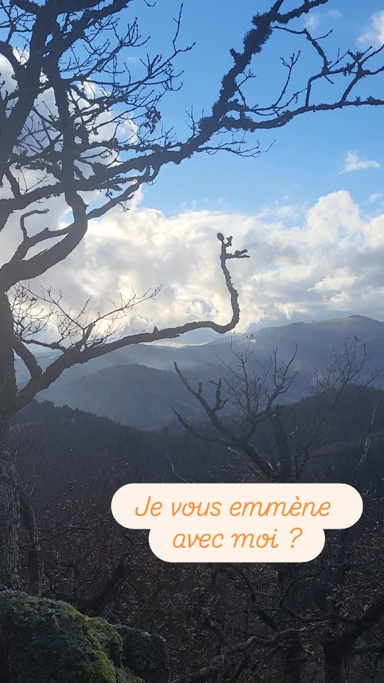 Le plaisir de marcher dans les feuilles mortes... moi, ça me rappelle l'enfance !
Et vous ?
Je vous emmène randonner dans les feuilles ? 🍂
#randonneealsace #randonnéevosges #automneenforet