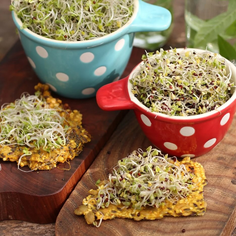 Broccoligroddar är små, krispiga och fulla av kraft 🌱
De har en mild smak av broccoli och passar till nästan allt. Ha dem på mackan, i salladen, som topping på maten eller i din smoothie.
En enkel väg till mer grönt i vardagen - året om! 💚
#broccoli #brcooligroddar #groddar #eko #ekologiskt #närodlat #frånsverige #munkagrodden #frukost #smörgås #fröknöcke
Foto: @annikasnaturligating 🧑🏼🌾