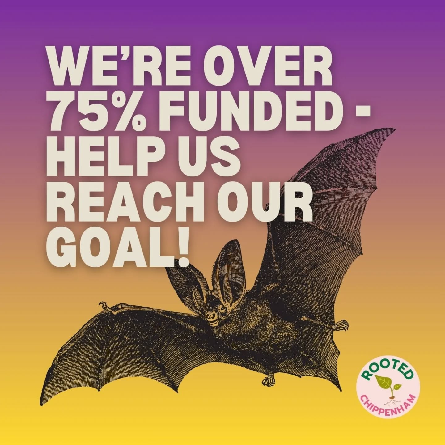 A HUGE thank you to everyone who has helped us raise over 75% of our funding goal!
We now need a final push to help us hit our target, so we can run regular, free-to-attend public bat walks in Chippenham 🦇🦇🦇
ALL donations help - no matter how small - and are match-funded by Aviva to double the impact! Donate as little as £1 or grab a fantastic funder reward before they’re all gone 👇
- One of our handmade native bats
- A bat detector including a personal bat walk for 4
- A corporate funder bat walk for up to 20 of your team
Donate and share our Crowdfunder here: https://www.avivacommunityfund.co.uk/p/rccbw
#crowdfunder #chippenham #bats #ukwildlife #community