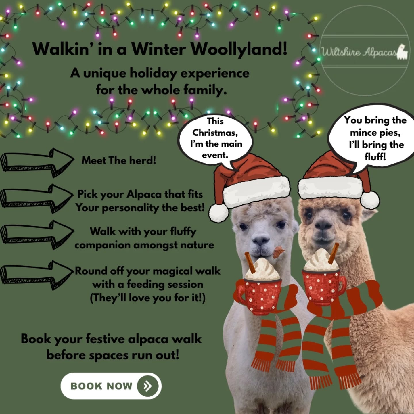 Make this Christmas extra special with a festive alpaca walk! 🎄✨
Meet our adorable herd, take a magical stroll, and top it off with a feeding session — the alpacas can’t wait to meet you!
#wiltshirealpacas #alpacawalks #alpacaadventures #meettheherd #alpacalove
#alpacalife #fluffyfriends #alpacaexperience
#woollywonderland #alpacafun #wiltshireadventures