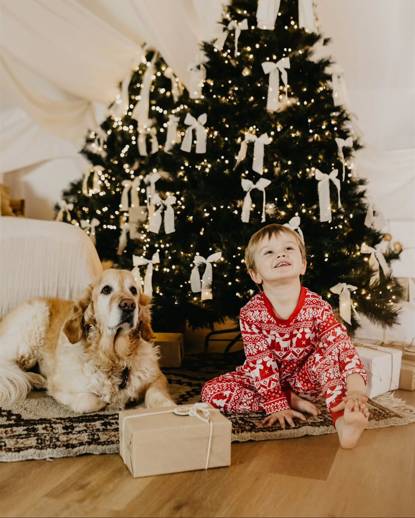 Les premières images de Noël sont livrées 🎄 et c'est complètement la folie !!!!!
La magie de Noël à vraiment opéré au LOFT PHOTOS !
Le planning est complet et il reste encore quelques familles à rencontrer ! ✨️
Encore merci à l'équipe de choc
Sceno et design floral @safran.lucie.madelaine
L'armoire magique @casa_alexandra_51
Les jolis bougeoirs de chez @iletaitunechose
Alors - déjà envie que ce soit Noël ?
#christmasphotoshoot #christmasdeco #c
hristmasphotography #christmasfamily #studiophotonoel #seancephotonoel #photographereims #studiophotoreims #christmascocooning #photonoelreims