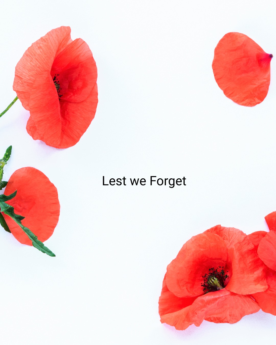 #rembranceday #remember