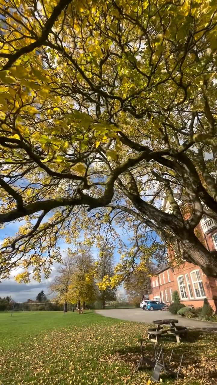 Enjoying the last bits of Autumn colours and vibes before winter comes 🍂🧡
#ywamtkl #ywamengland