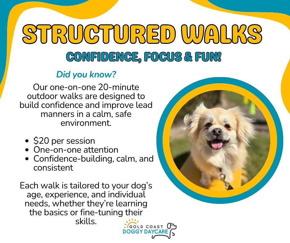 Boost your pup’s confidence and manners with our Structured Walks! 🐾
Twenty minutes of calm, one on one training designed to help your dog walk better, focus better, and feel better, all for $20 per session.
Perfect for pups learning the basics or pros who need a tune-up.
#GoldCoastDoggyDaycare #StructuredWalks #DogTraining #LeadManners #ConfidentDogs #PuppyTraining #GCDogs #DogsofGoldCoast