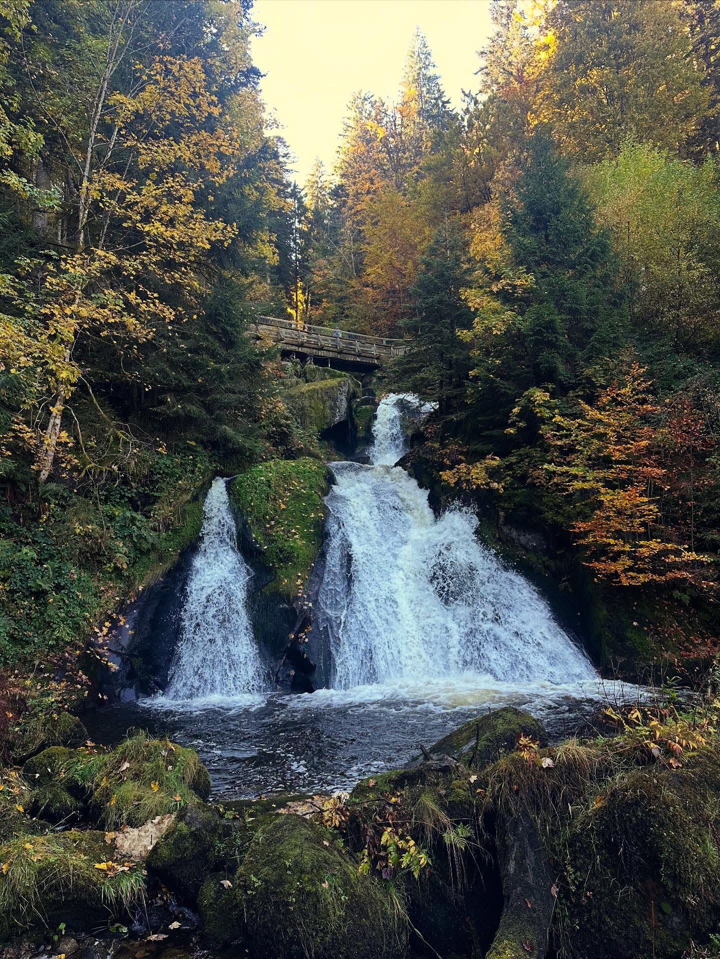 🤍 im einer Welt / in der du alles sagen kannst / sprich liebevolle Worte /
🤍 in einer Welt / in der du alles werden kannst / sei von der guten Sorte /
🤍 in eine Welt/ die voller Floskeln ist / schrieb man dich als Liebesbrief/
🤍 in einer Welt/ wo Hass und Neid regieren / sei du es, der die anderen liebt /
🤍 in einer Welt / die oft so dunkel scheint / versuch das Licht zu sein /
🤍 in einer Welt / die keinen Platz mehr hat / lass andere in dein Herz hinein /
🤍 in einer Welt/ in der du alles nehmen kannst / nimm Rücksicht drauf / wie’s anderen geht /
🤍 in einer Welt / in der die Liebe fehlt sei ein Freund / sei ein Poet /
🤍 denn du bist doch Freund des Dichters / und er hat seine Kunst in dich gelegt /