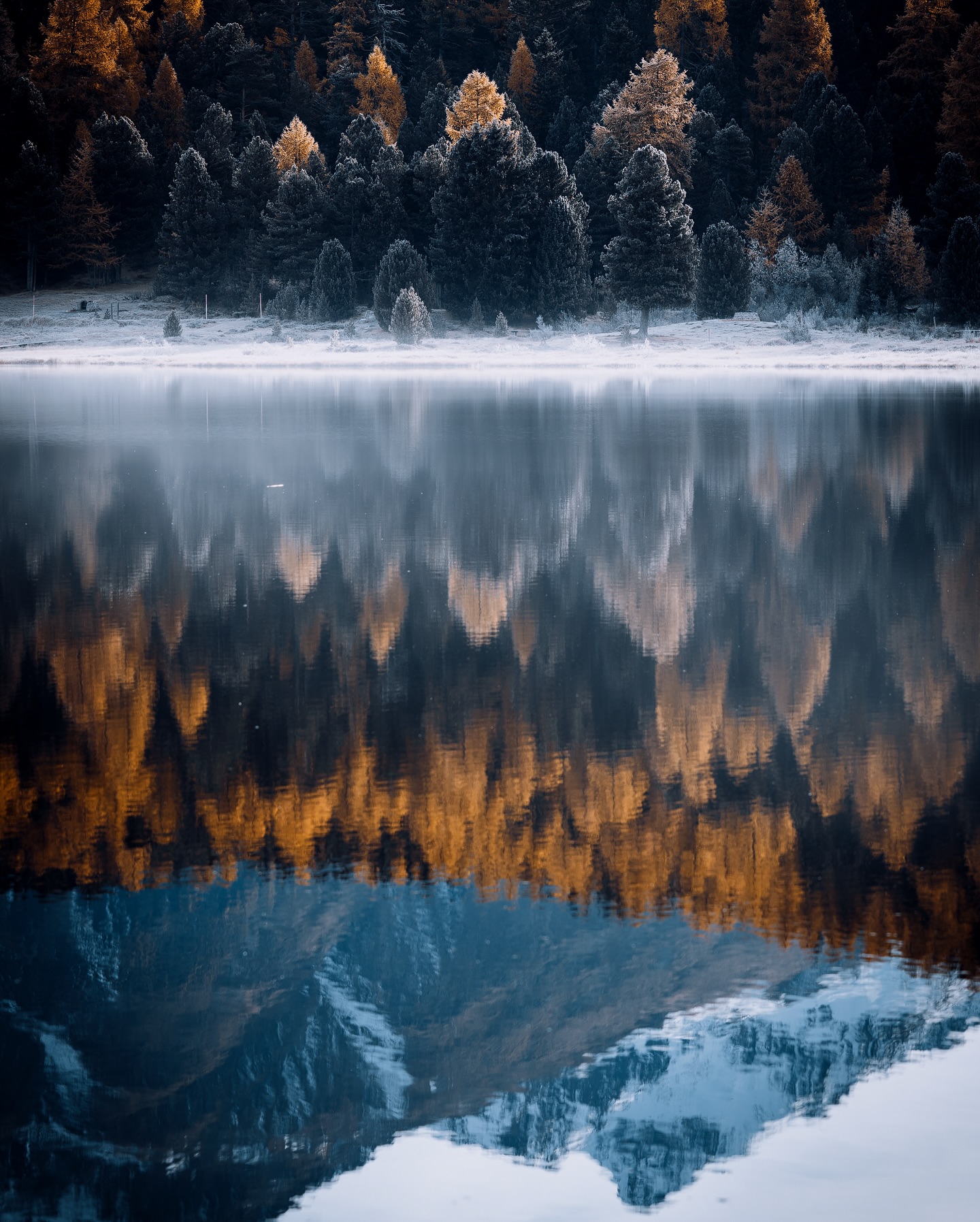 Change of seasons.
A while ago I took these images in the Engadin region in Switzerland. Even if they don’t show the majestic snow covered mountains, I like them a lot. They show the subtle change of seasons from full Autumn colors into the colder winter season. There is hoarfrost on the trees, the larch trees are in full color, fog is rising above the lake, and on the mountains in the background lays the first snow.