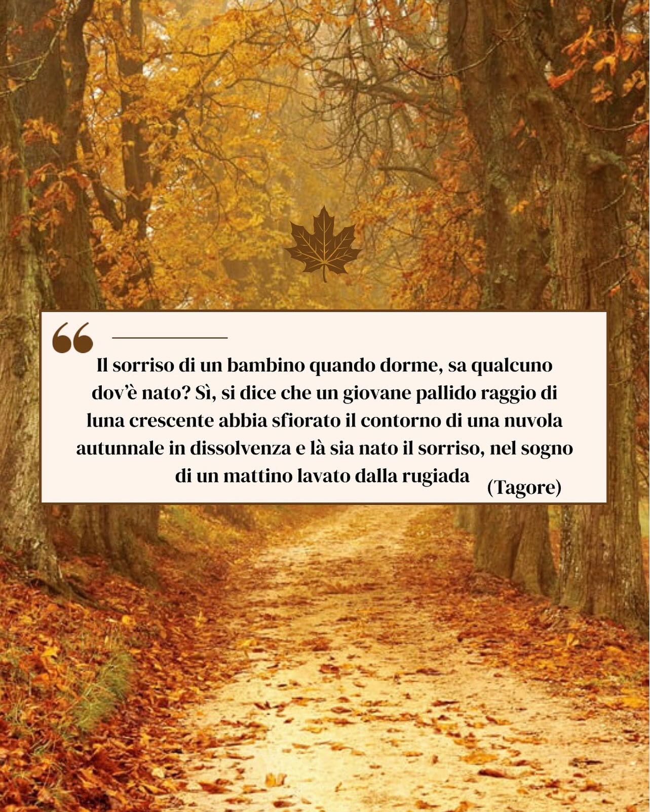 “Il sorriso di un bambino quando dorme, sa qualcuno dov’è nato? Sí, si dice che un giovane pallido raggio di luna crescente abbia sfiorato il contorno di una nuvola autunnale in dissolvenza e là sia nato il sorriso, nel sogno di un mattino lavato dalla rugiada” (Tagore)
#nuovavitainarrivo #cicognainarrivo #sceltadelnome #parentstobe #futurigenitori #nameplannerforkids #babynameplanner #fioccorosa🎀 #fioccoazzurro💙 #pancionechecresce #inattesadite❤️ #pregnant_world #pregnancy #futuramamma