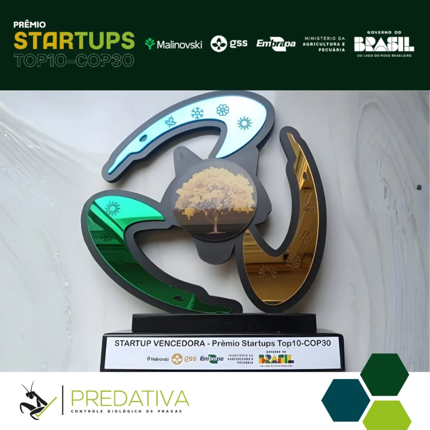 A Predativa é uma das 10 contempladas com o Prêmio Startups Top10-COP30 - Plantações Florestais: Tecnologias, Multiprodutos, Biodiversidade e Clima!
Promovida pela Embrapa Florestas, o Ministério da Agricultura e Pecuária (Mapa), o grupo Malinovski e a GSS Impact Development Company, a premiação reconhece as startups mais inovadoras ligadas a plantações florestais.
O prêmio será entregue em um evento realizado durante a COP 30 em Belém (PA), no dia 14 de novembro, na Arena AgriTalks (Pavilhão Principal), às 13h30.
A Predativa e as outras nove startups selecionadas irão apresentar suas tecnologias através de um vídeo, transmitido em videoconferência aberta ao público.
Se você quiser conferir esse material em primeira mão, acesse o link da bio.
#top10cop30 #predativa #manejodepragas #insetosnaagricultura #cop30