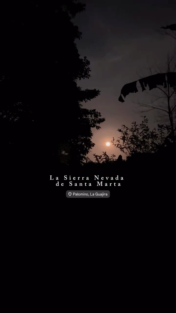 🌿 La magia de la Sierra Nevada de Santa Marta 🌄 Desde las nieves eternas hasta los ríos cristalinos que llegan a Palomino, esta montaña sagrada nos recuerda la conexión entre la tierra, el agua y el espíritu. ✨
🌿 The magic of the Sierra Nevada de Santa Marta 🌄 From the eternal snows to the crystal-clear rivers that flow into Palomino, this sacred mountain reminds us of the connection between earth, water, and spirit. ✨
📍 Palomino, La Guajira
#CasaColibriPalomino #SierraNevadaDeSantaMarta #Palomino #NaturalezaViva #ColombiaMágica #palominoguajira #ColombiaTravel #NatureLovers #HiddenParadise #EcoTravel #JungleAdventure #WaterfallChasing #MountainMagic #VisitColombia #TravelSouthAmerica #NatureRetreat #TropicalVibes #Wanderlust #ViajaPorColombia #NaturalezaViva #ParaísoEscondido #TurismoSostenible #AventuraNatural #CascadasDeColombia #MontañasSagradas #DescubreColombia #RíosDePalomino #SelvaTropical #viajerosporelmundo