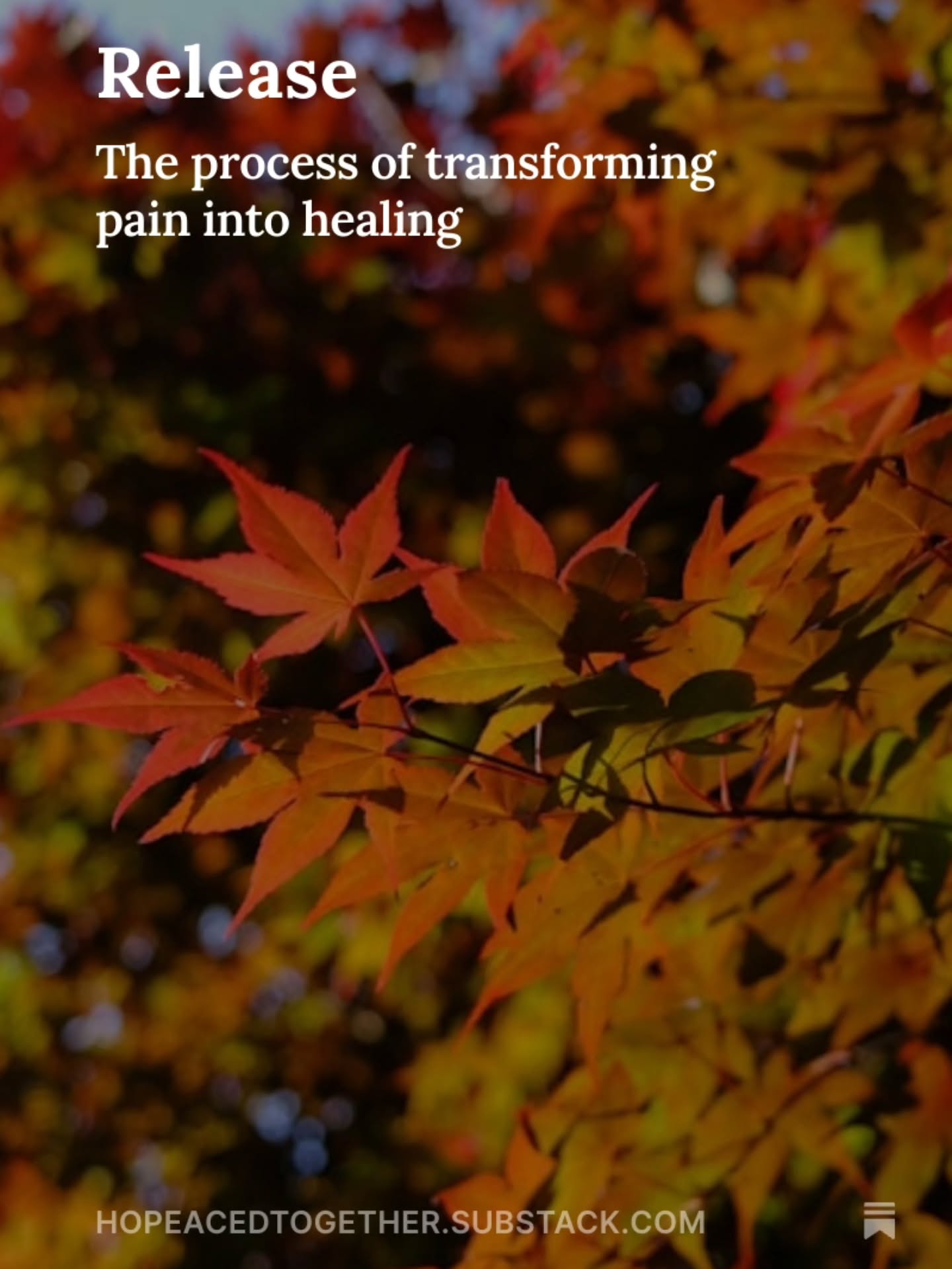 "The autumn leaves whisper in the crisp air, “Enough already. It is time to release the pain and suffering.” Carrying the burdens of past hardships or self-limiting beliefs acts as a heavy weight, preventing us from reaching our true potential."
#mentalhealth #release #autumn
