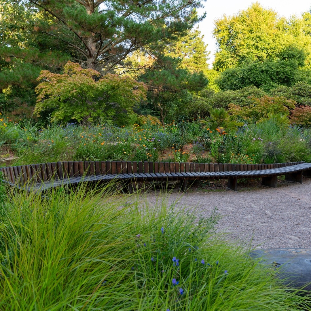 How many people do you think can sit on one of our benches at our project Garden for the Future?
Last month we hosted an SGLD event for members to come and have a look at the new space and we all fitted very comfortably! Scroll to the end to see for yourself, there are 24 of us!
Designed by us and beautifully made by Oli Carter, these sweeping oak benches wind through the garden, inviting people to pause, connect, or simply take a moment alone.
They were made from an oak tree that fell during the Great Storm of 1987, giving new purpose to timber with its own remarkable story.
As a public space, it was important that the benches were accessible to everyone. There’s space for wheelchairs and they offer places for gathering, sitting, or even lying down. Kids love to run up and down them!
⸻
ABOUT: Joe Perkins Design is a multi-award-winning landscape design consultancy, creating innovative outdoor spaces that celebrate the environment, wildlife, and biodiversity. Working across the UK and internationally, we partner with clients who share our passion for sustainable and visionary design. Discover more about our work at: www.joeperkinsdesign.com