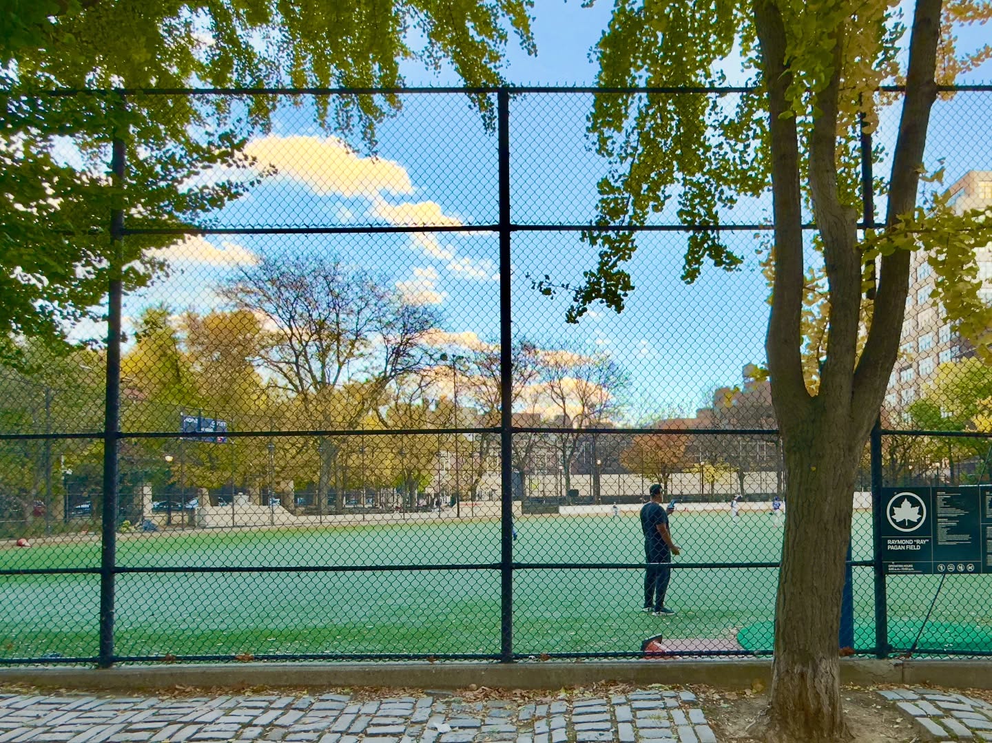 Scoping out the site for my potential new installation at JJ Walker park in the West Village. For me, this nice big fence is more exciting than a gallery wall.
#maryanyc #maryatriandafellos #publicart #commissionart #digitalart