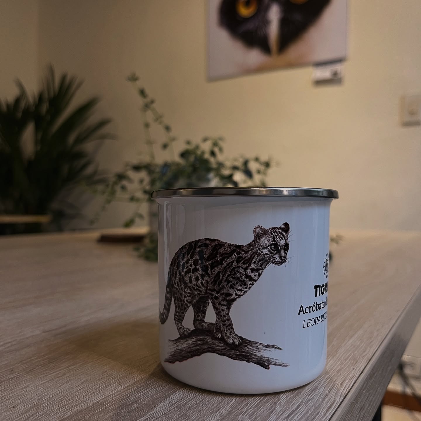 Mug peltre 😍
Nos antojamos de un cafecito y de una pensamos en estas bellezas. Los esmaltados, los de peltre y llevan la biodiversidad de Colombia 🇨🇴
Acá algunos de los diseños que tenemos
Envíos a todo el país
www.latiendadelmonte.com
#mugpeltre #colombia #reutiliza♻️