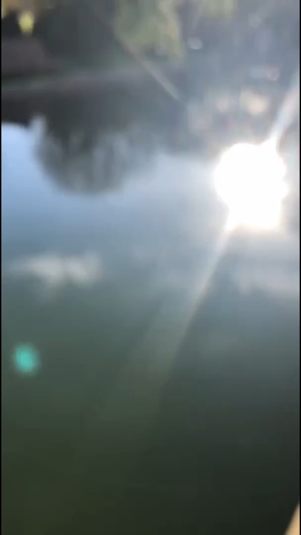 A recent visit of the Feminine in my dreams,
Remembering me
The Potency of the Feminine Bodies
Dismissed and mistreated by modern societies.
By mistreating our Feminine Bodies,
We are mistreating Her.
This conditioned behaviour has the same frequency as the exploitation of the Earth and all Bodies.
Defining feminine beauty standards IS a colonization of the women's bodies,
Another attempt of objectivation and repression of women.
Women,
Remember that the Potency of the Goddess has been transmitted to you through your Feminine Body.
Women,
Remember the Bodies of
Ancient Fertility Goddesses
Revered and Honored.
By making Love to your Body,
Listening and Feeling your Dreams,
You are part of the reweaving
Of the next ascending paradigm.
Dreams are
An imprint of Remembering
In our feminine bodies and deeper layers of our psyche
Revealed through a felt metaphorical sense
Rooted in the timeless realm of Kairos,
Reweaving our consciousness
To be Again Attuned
To the Ancient Mystery
Gleaming in our Feminine Bodies.
#dreamwork #depthpsychology #femininewisdom #femininerising #womenempowerment💞 #fertilitygoddess #goddessenergy #archetype #collectiveunconscious #awakening #bodyimage #consciousnessshift #ancientwisdommodernlife #oracularpoetry #patriarchy #decolonizeyourmind #somatichealing #sacredfeminine #wildwomen #feminineleadership #spiritualwomen #selflove❤️