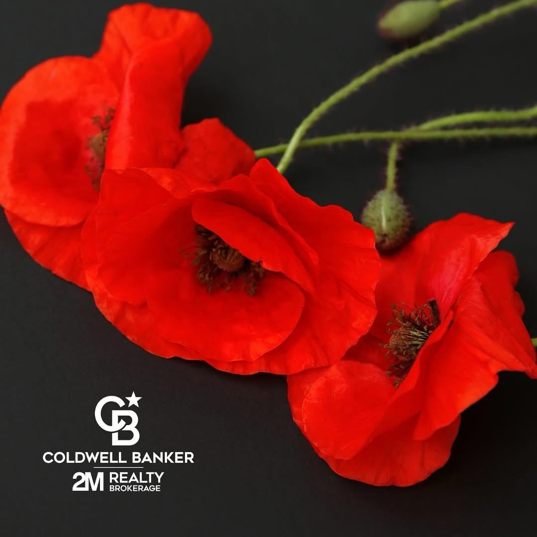 They shall grow not old, as we that are left grow old:
Age shall not weary them, nor the years condemn.
At the going down of the sun and in the morning
We Will Remember Them.
#weremember