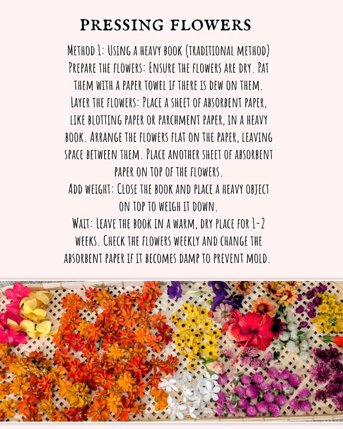 Taking time to slow down and appreciate the little things—like these pressed flowers, each one holding nature’s beauty. 🌸 Pressed flowers remind me of how important it is to appreciate the serenity around us. Nature has a way of teaching us to stop and notice the small wonders all around us.
#PressedFlowers #NatureVibes #FloralArt #FlowerPressing #BotanicalBeauty #MindfulMoments #SlowDownAndLive #NatureLovers #FloralInspo #WildflowerWonder #InBloom #FlowerMagic #PressingFlowers #EcoArt #NaturalBeauty #FlowerPower #BohoVibes #CreativeMind #ArtOfNature #SustainableArt #FlowerTherapy