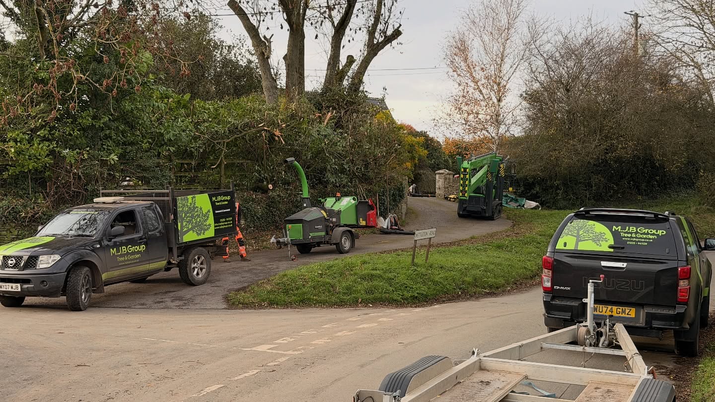 🌳 Big Day on the Tools! 🚜✂️
This was from the other day — we had all the toys out! The cherry picker (MEWP), chipper, and both trucks 🛻 were on site to get this wild tree back into shape. It had grown all over the place and was tangled up in a web of phone lines 📞🌿 — so a careful, tidy reduction was needed to keep it safe and looking great for next year.
Plenty of chip from this one 🍟… though the next-door neighbour snapped it up for their alpacas 🦙 — happy days all round!
#TreeWork #ArboristLife #TreeSurgeon #MEWP #ChipperCrew #TreeReduction #TreeCare #BeforeAndAfter #GreenWaste #AlpacaApproved #TeamWork #TreeSurgery #ArbLife #ProfessionalTreeCare #TreeMaintenance #NatureWork #DayInTheLife