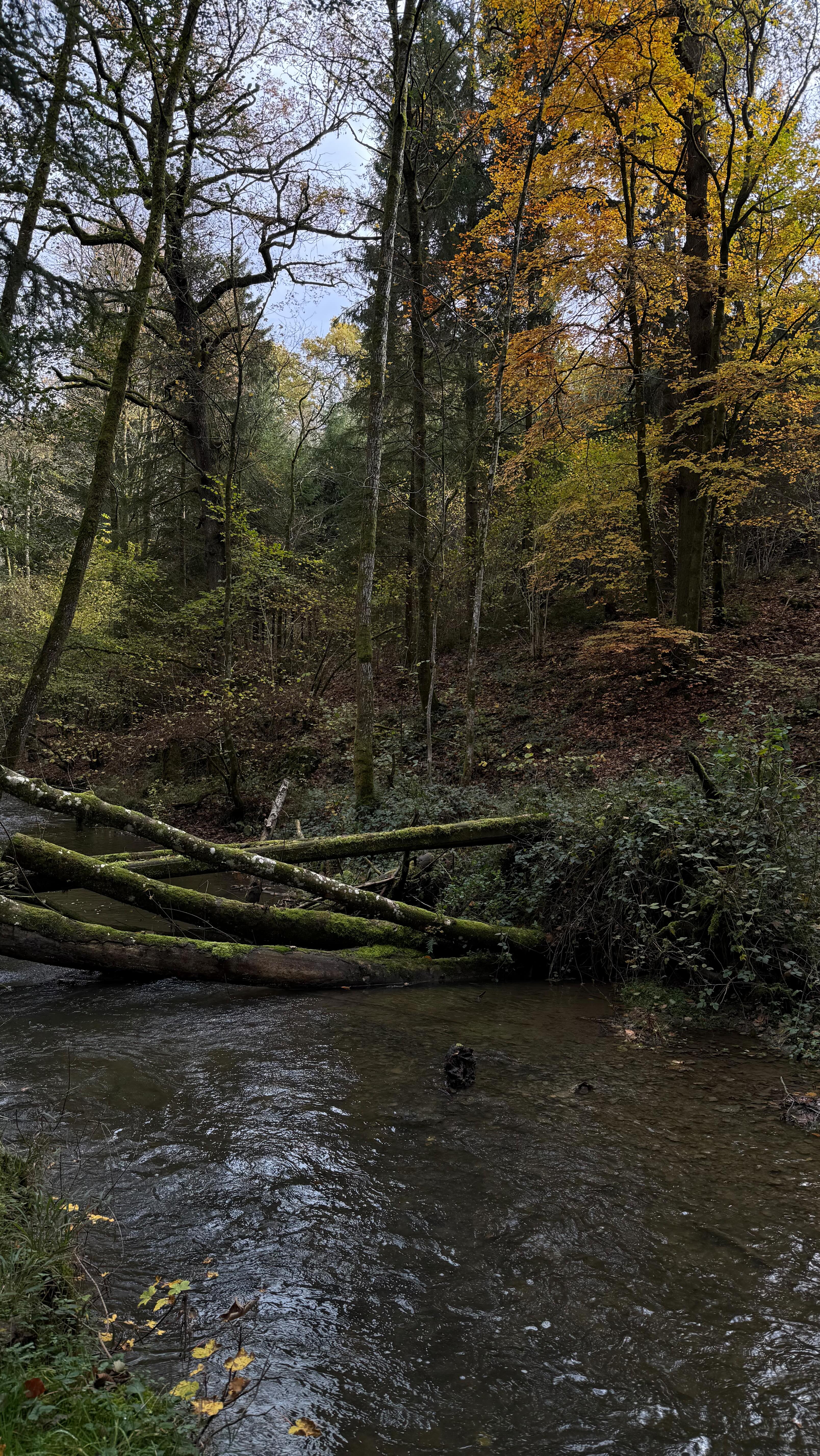 The art of doing nothing.
Of letting mornings unfold slowly,
of silence between the trees,
of breakfast that lasts a little longer.
Here, time softens and you breathe again.
Maison Oscar, Rochefort.
daily breakfast included • sauna & wellness • private chef on request • slow mornings • fireplace nights