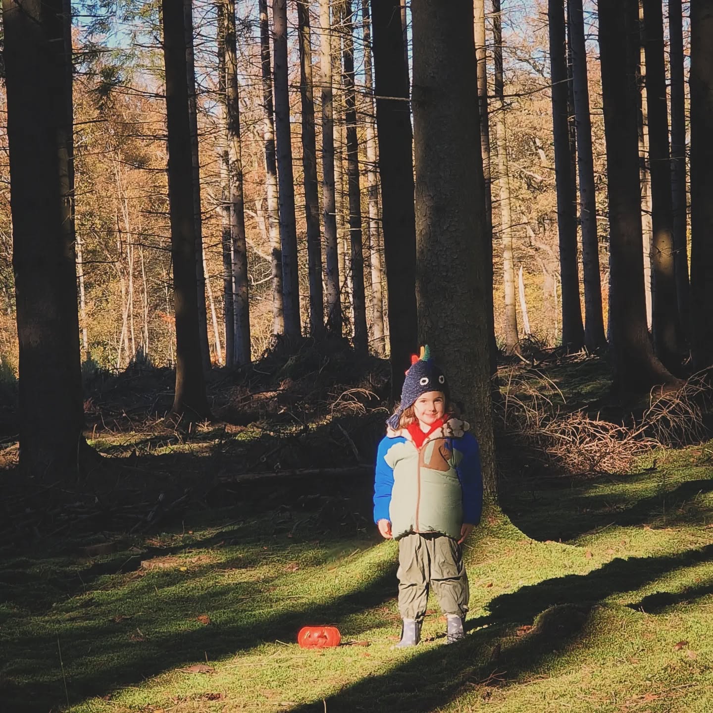 #goodmorning 🍂 le vent souffle et le tapis de feuilles s'épaissit de jour en jour 🍁
--- ⏰️ ---
Le retour du rythme scolaire c'est toujours un peu chamboule tout à l'intérieur, ajoute à cela une pleine lune coriace 🌚 et ça explose chez tout le monde 😤
Alors hop hop hop, une sortie familiale pour aérer l'esprit 🌲, et en même temps faire une bonne action en offrant notre citrouille sculptée aux animaux de la forêt 🐿, beaucoup de danse et de swing sur des musiques de Noël, du temps au ralenti, des surprises piscine, de la folie avec les copains, des jeux de société de grand ♟️
Objectif atteint, le cœur est reboosté et chez tout le monde 💗
--- 📚 ---
Les livres de Noël sont descendu tout seul comme par magie ✨️ (si seulement, 4 caisses de livres de Noël à descendre et 4 caisses de livre d'automne a remonte, mon dos ne dit pas merci 😑) Depuis dans toutes les petites mains de la maison j'entends des "waw" "j'adore celui-là" "mon préféré" 📖 et ça vaut tout de même tout les efforts du monde
--- 🤓 ---
Et toi ? Ta semaine ? Ton week-end ? Tes petits bonheurs-plaisirs ? Ton cœur rempli ? Tes lectures ? Raconte-moi 🤓
Douce semaine 🍁🌲✨️
#slow #slowlife #simplicity #moments #familytime #familyplay #familylover #littleboy #babygirl #petitsriens #petitsbonheurs #lectureencours #autumnmood #autumnwood #fallleaves🍁🍂 #lundifourretout