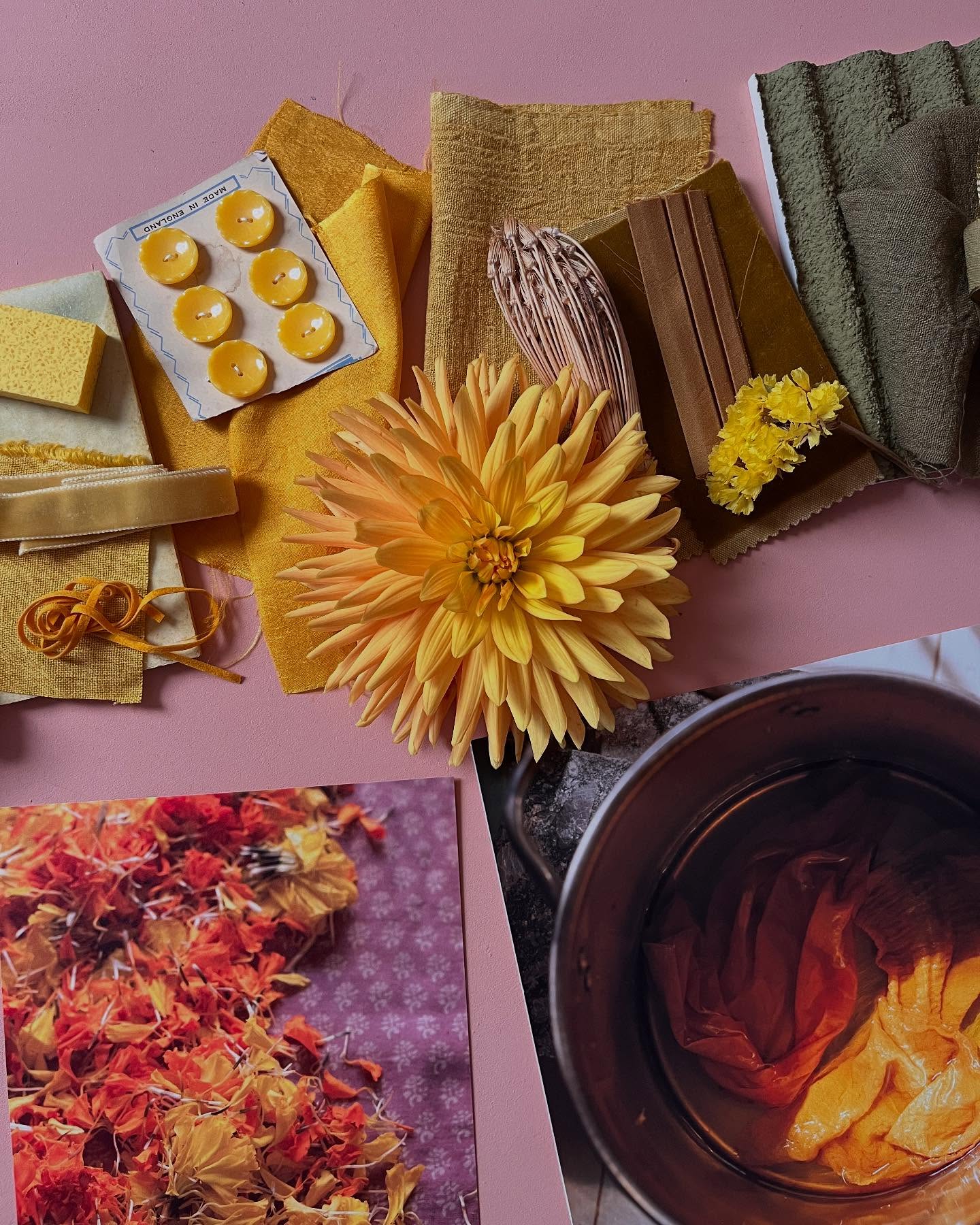 Every colour at Luminary is created by hand. Every Luminary story brings these colours to life.
We use photography and materiality to bring meaning and value to the colours. Surface, texture, fabric construction all transform flat colour. Our Moodboards breathe life into the colours.
We respond to colour with all of our senses, our photographs weave humanness into the colours, telling stories that connect the colours to place, people, craft, culture and communities.
Luminary uses colour storytelling to pose questions around the origin of our colours and the ingredients that make up the materials we all take for granted. Colour Ecology raises discussion around the resources and life cycles that are part of every object we consume.
We work with ancient traditions of plant colour wisdom alongside exploring future colour technologies. We look both to the past and the future to curate the stories that inspire global design teams to Rethink how they work with colour.
How does colour make you feel?
Get in touch to learn more about our global colour futures publications and studio projects.
Image above outtake from our studio shoot last Friday with @brayne_ and @river_of_daisies
More to be revealed soon 🌼🌼🌼
#colourfutures #futurecolour #colourstudio #colour #cmf #materialfutures ##colourtechnologies #ancientwisdom #plantdye #botanicalcolours #technicalcolour #colourlibrary #ihavethisthingwithcolour #colourforecast