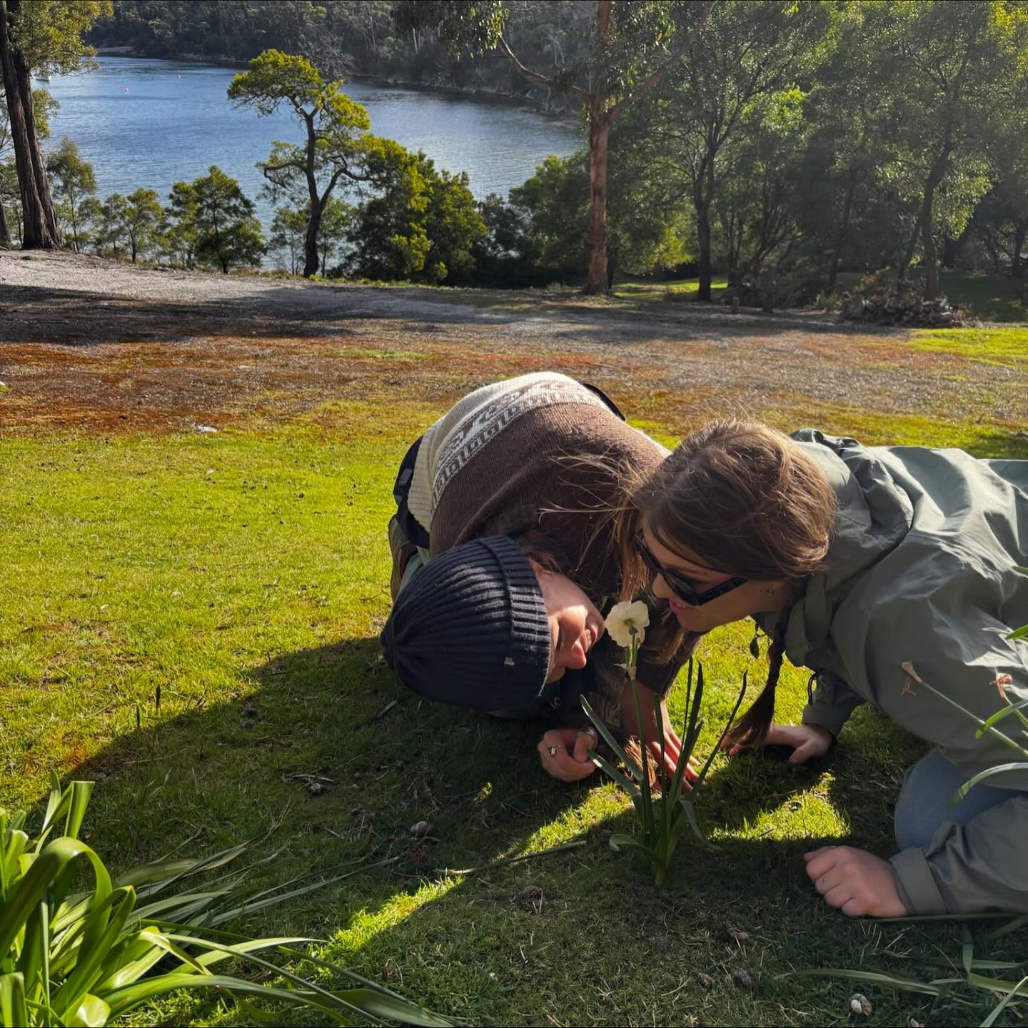 An ode to Tassie, swamps and Dijon
By alex and jaimie
The sniff of a flower never smelt so sweet
Wind in our hair, dirt on our feet
But beware of the swamp creatures that lurk about
They’ll gobble and swallow and spit you out!
If you are worried, please do not hurry
They can be persuaded with day-old curry.
They do not need any whistle or bells
You can find them by shores searching for shells.
These creatures love long drives and folk tunes
Dancing on cars and twirling bags of goon.
The road trip has ended, and they’ve lost their chill
You wouldn’t believe it…the dress looks like nice on them still.