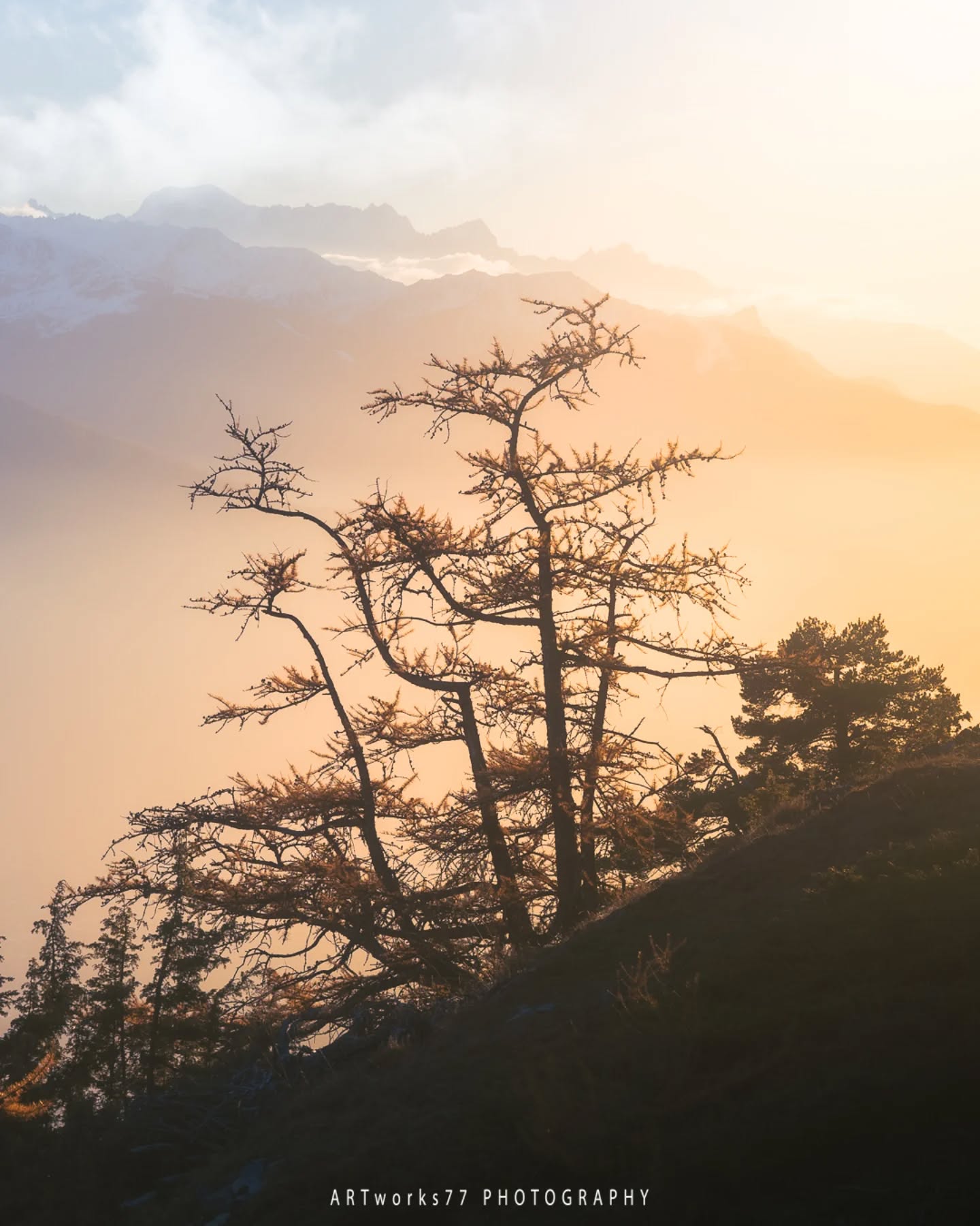 | Gold Horizon – The Moment Before
Where the horizon glows in gold, there’s a spark of anticipation. A split second hinting that something new is about to begin.
---------------------------------
Dort, wo der Horizont in Gold getaucht ist, liegt dieses Knistern der Erwartung. Ein Augenblick, der ahnen lässt, dass etwas Neues beginnt.
.
.
.
#goldhorizon #mountainmagic #sunriselovers #goldenlight #natureperfection #mountainscape #naturephotography #alpenglow #morningsky #outdoorlife #wanderlust #explorenature #earthvisuals #landscape_captures #naturelovers #mountainvibes #sunset_stream #lightchasers #ourplanetdaily #majesticmountains #naturegram #hikingadventures #wildmoment #visualscollective #earthfocus #mountainlove #natureglow #goldenhourmagic #peakperspective