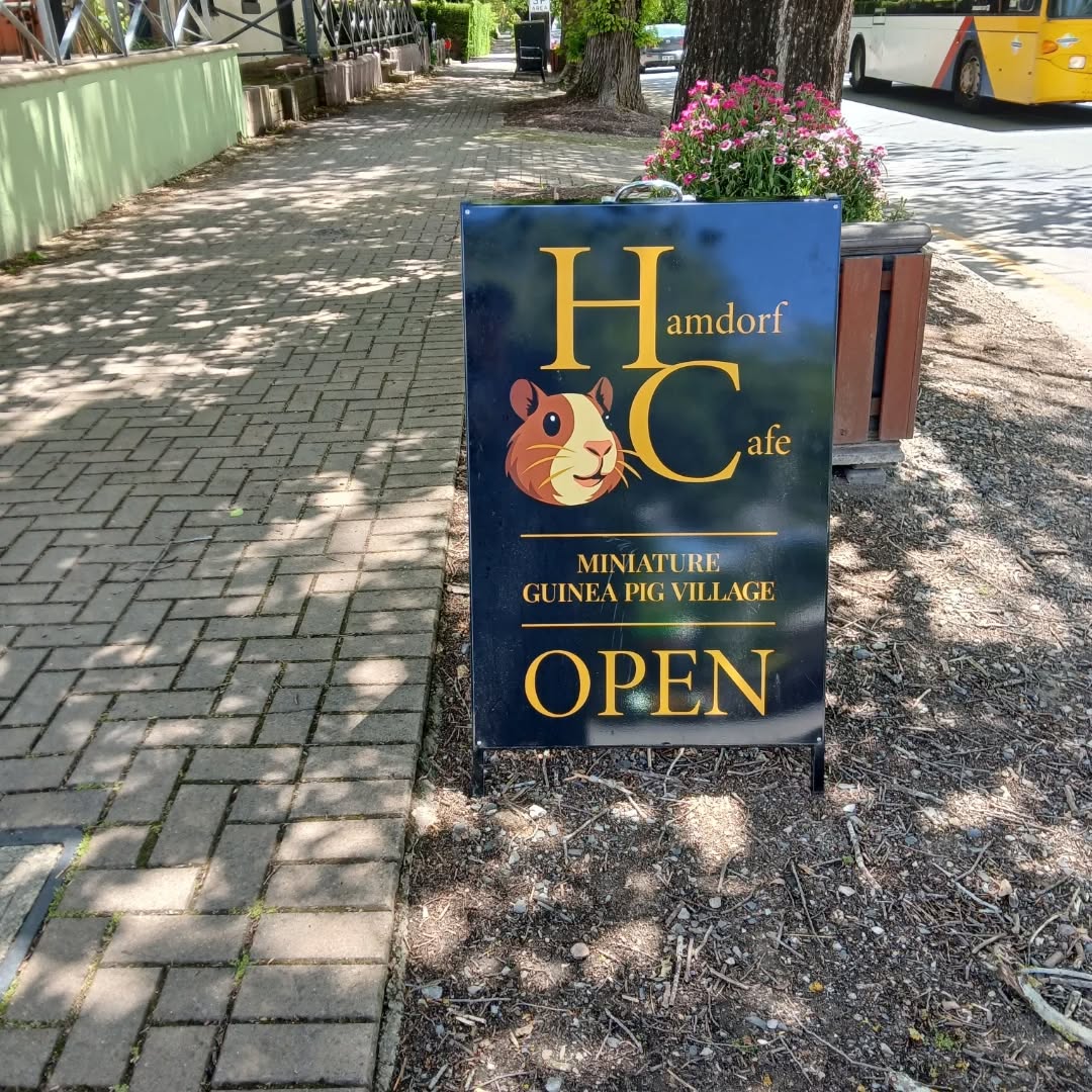 No clients today. It was a perfect day to head up to Hahndorf for a birthday lunch for my amazing mum. π We decided to check out the @hamdorfcafe which was really cool.