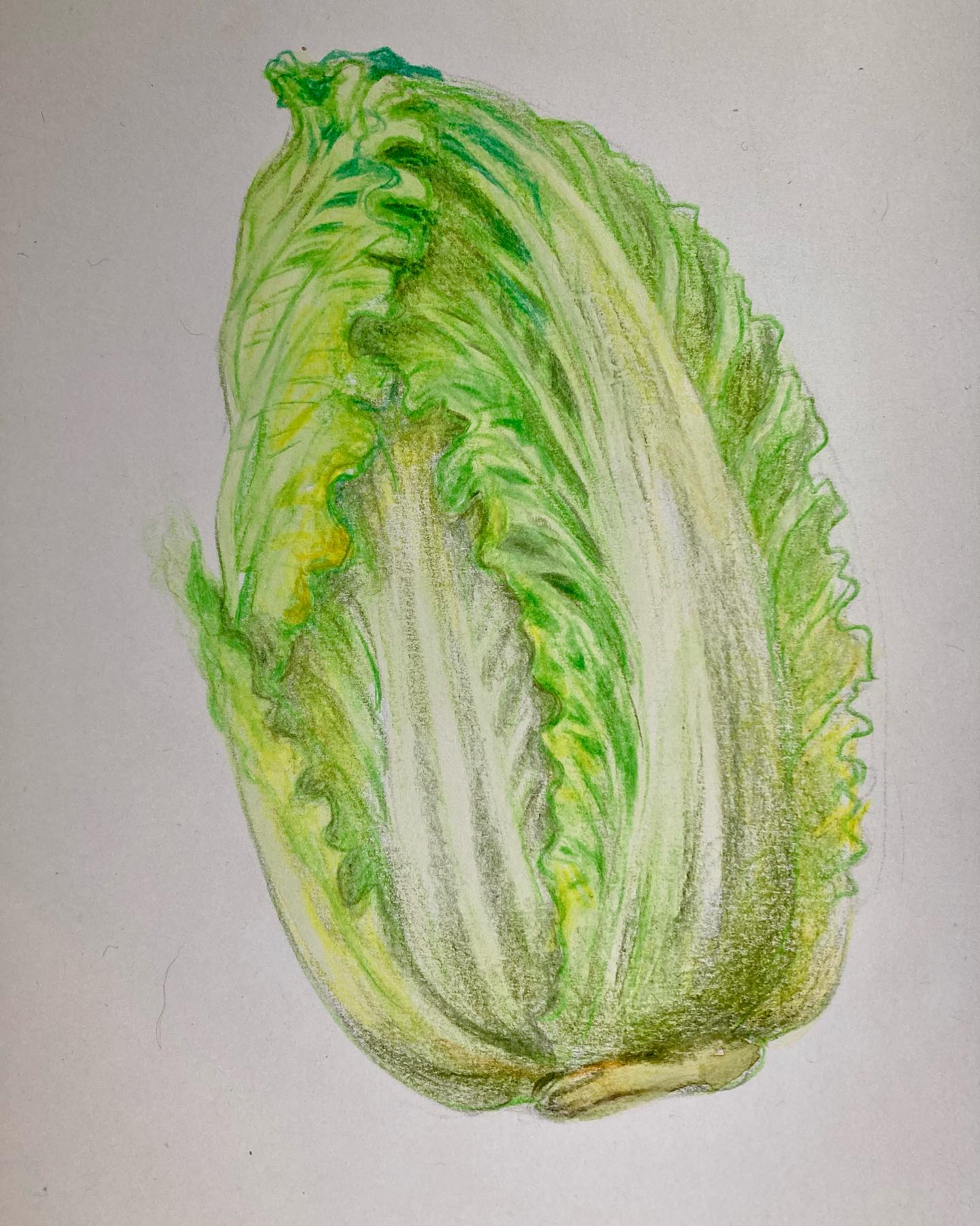 Le chou chinois selon la Diététique Chinoise!
Un dessin perso, ma recette préférée!
.
Le chou chinois est de nature légèrement froide, de saveur douce, de tropismes Poumon/ Gros Intestin/ Estomac/ Intestin grêle/ Vessie. Grâce à ses tropismes, il pourra agir sur les 3 Foyers, régulariser et désobstruer la Voie des Eaux. De saveur douce, il soutient la Rate et tonifie l’Estomac, dans son travail d’assimilation, de transformation,,en produisant les liquides de l’estomac. Étant de nature fraîche, il clarifie la chaleur du Poumon (pour traiter l’angine et la toux), il clarifie la chaleur de l’estomac (pour traiter la soif, faim intense et les brûlures), il clarifie la chaleur de la Vessie (pour traiter les cystites et infections urinaires). Il serait aussi intéressant pour traiter les distensions abdominales et colites.
Il a été prouvé que le chou, grâce à un acide aminé soufré qu’il contient, sera intéressant pour calmer les douleurs de l’estomac, dans le cas de brûlures, gastrites, hernies hiatales… Outre sa forte teneur en vitamines À, B, C, acide folique, le chou chinois, comme les autres choux a des vertus anti cancer interessantes surtout sur la sphère digestive, grâce à ses glucosilonates.
.
Attention toutefois à ne pas en abuser en cas de vide de Yang de la Rate (car de nature fraîche), ni de goitre et d’hypothyoïdie! A ne pas associer avec le réglisse Gan Cao!
.
Ma recette préférée: ma soupe au chou chinois, mais aussi cette recette de chou chinois au tofu sauté au wok! (Recettes sur mon blog, lien dans ma bio).
.
#chou #choux #chouchinois #chounapa #petsaï #alimentationéquilibrée #alimentsanté #alimentquisoigne #bienfaits #bienfaitssanté #dietetiquechinoise #madreperlamtc