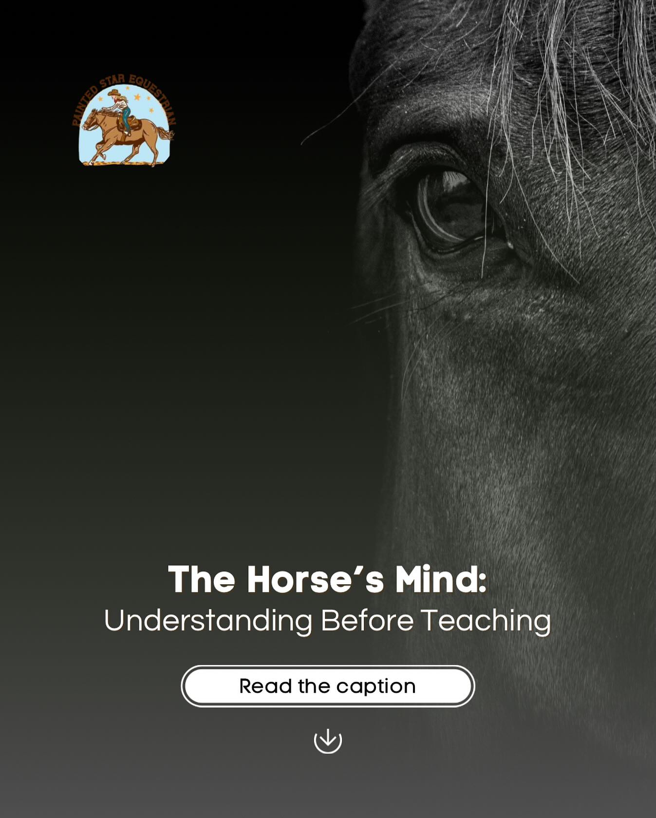 Before correcting a behavior, take a moment to understand the reason behind it.
Every reaction comes from emotion.
Pro Tip:
Pay attention to the subtle signs—ears, eyes, and breathing. They reveal discomfort, fear, or doubt. Training is about communicating, not controlling.