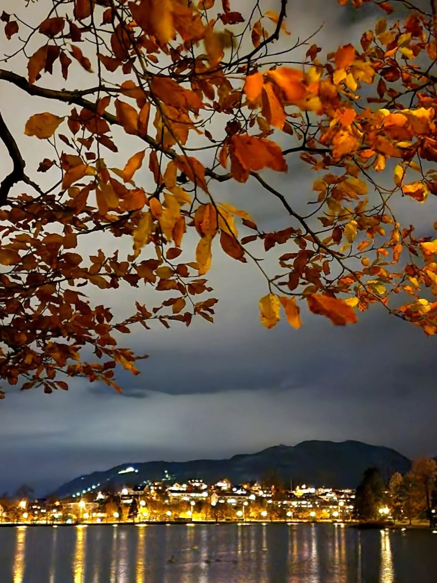 📷 Szilvia Toser @morla.no