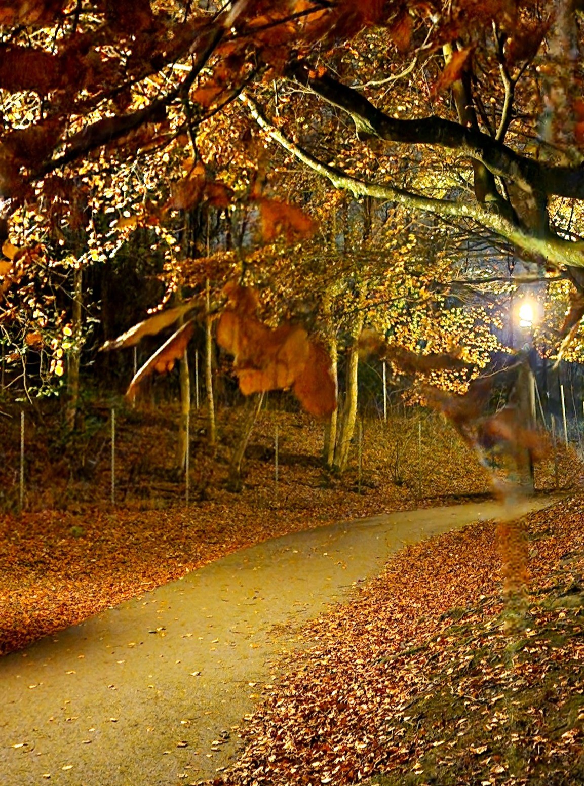 📷 Szilvia Toser @morla.no