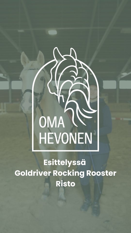 Kysyttiin meidän opettajalta Noralta millainen tyyppi Risto on ja millainen ihminen sille sopisi?
Videon kuvasi ja editoi Merilei Mandelin. 🙏
Mitä mieltä tästä? Puuttuuko jotain? Miten voisi vielä parantaa?
Jos etsit huippuponia, jolla on kapasiteettiä pitkälle, niin pistä viestiä Noralle (044-494 6770) tai lue lisää omahevonen.fi.
#omahevonen #kisapaketti #happyriders