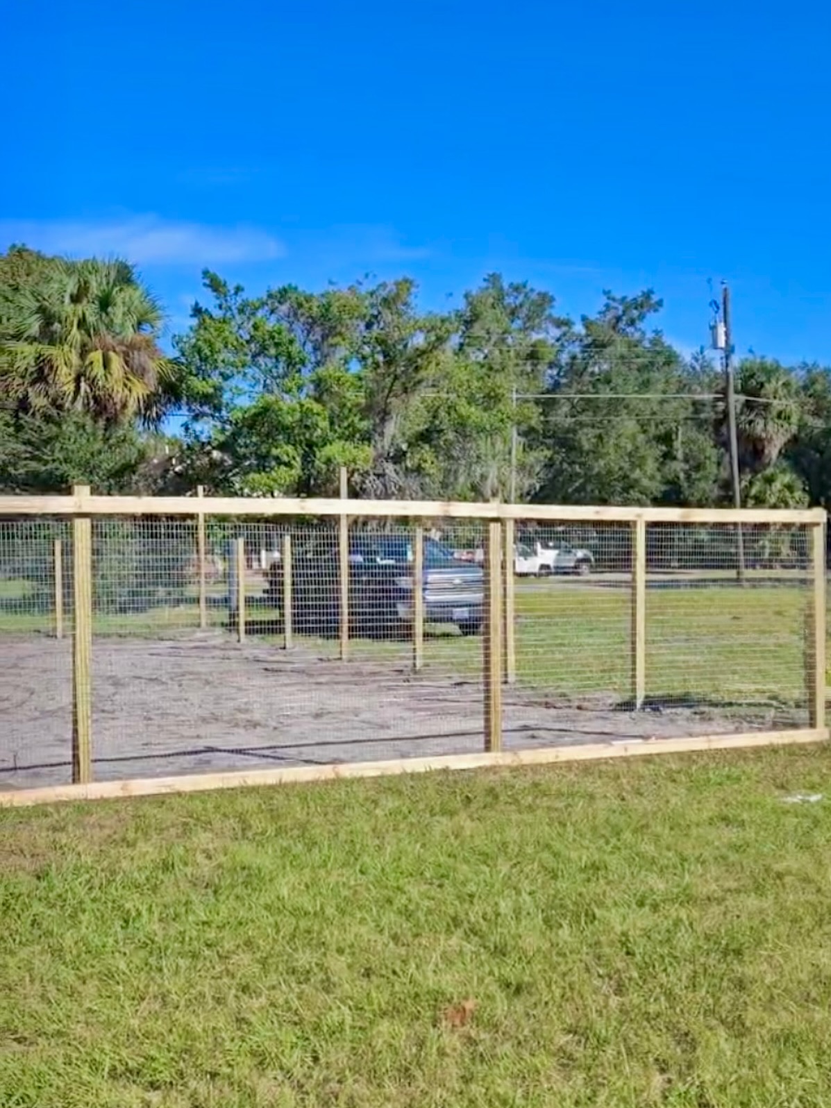 🌿 One step closer! The perimeter fencing is officially up around the Georgetown Community Garden!
Can you join us next Saturday to help lay the weed barrier and assemble the raised beds? No tools needed—just positive energy and a willingness to get your hands a little dirty!
🥪 Lunch and water will be provided.
💬 Comment below if you can make it, and don’t forget to like and share this post to help spread the word!
Let’s keep growing together! 🌱💛
#GeorgetownCommunityGarden #SanfordCulturalGuild #GrowWithUs #CommunityInBloom #Georgetown #CommunityGarden