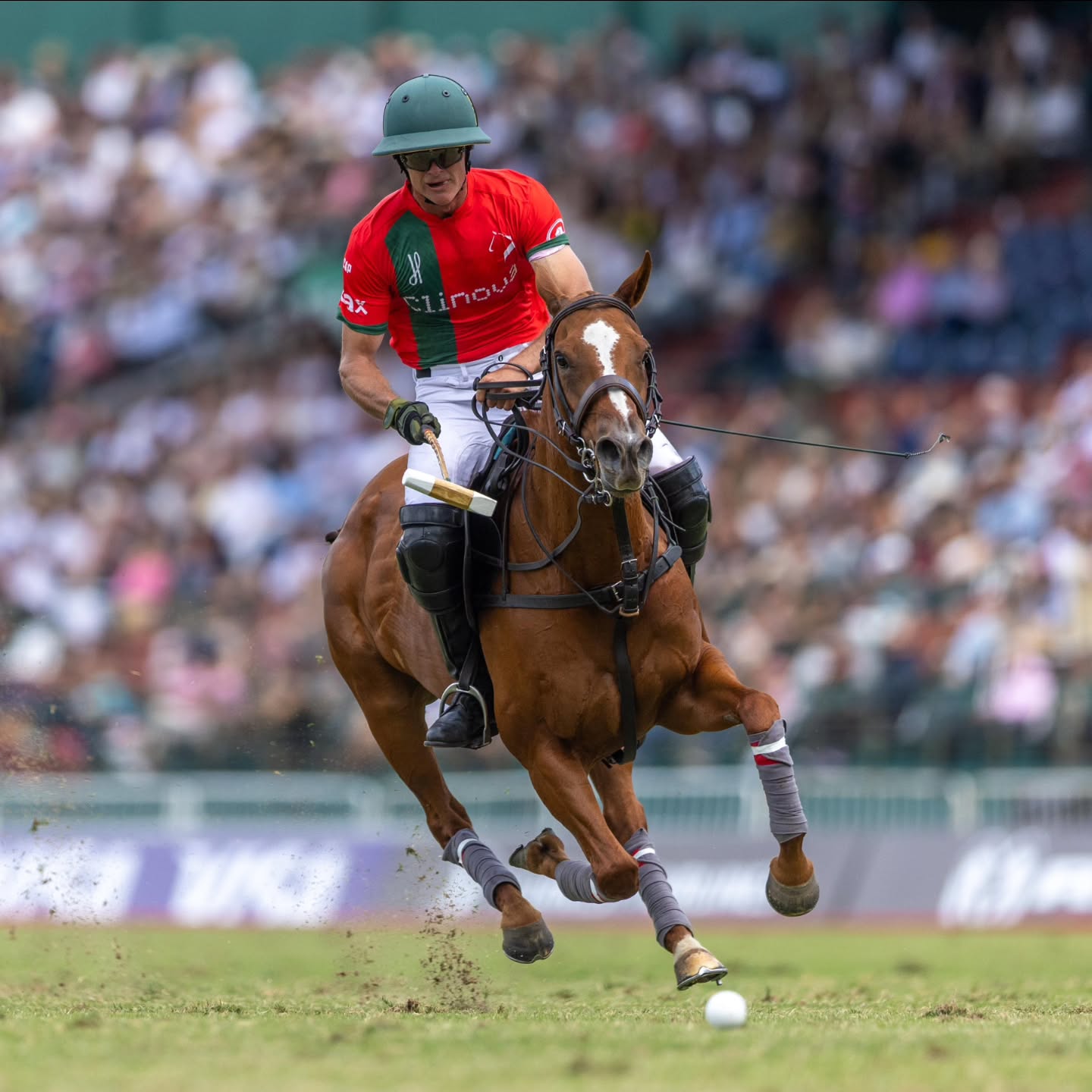 En su debut en el certamen y con 10 goles de Hilario Ulloa, La Irenita La Hache Clinova superó por 23 a 13 a La Dolfina II, equipo surgido de la “qualy”; y de esta manera comenzó muy bien el máximo certamen mundial.
#siemprepolo
#somospolo
#veniaverpolo
#vivielpolo
#sentielpolo
#revistapololive
#triplecorona2025
📸 @paddyramirezph