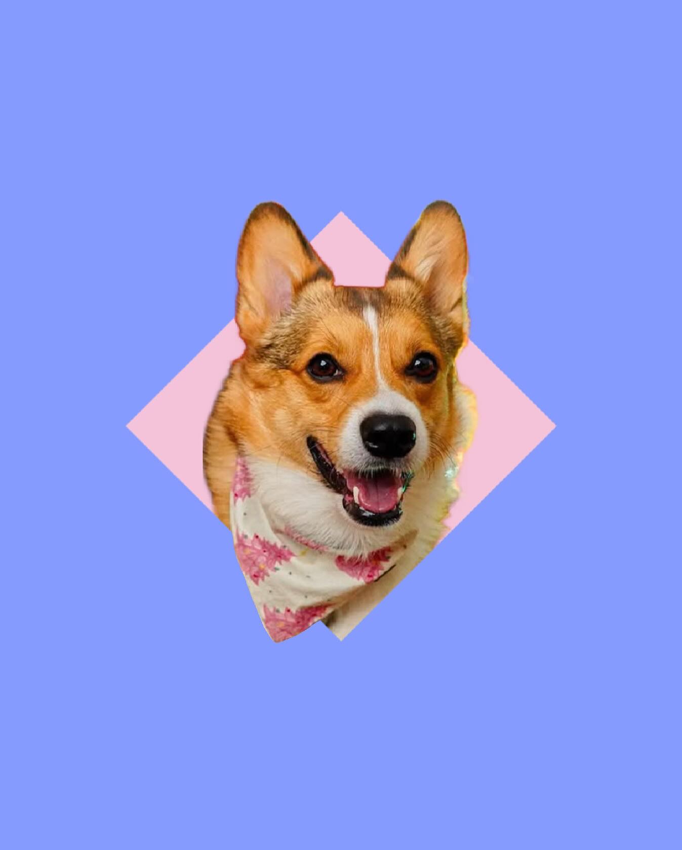 What kind of Holiday decorator are you - vintage, cutesy, traditional, modern, or eclectic? Sound off in the comments 👇