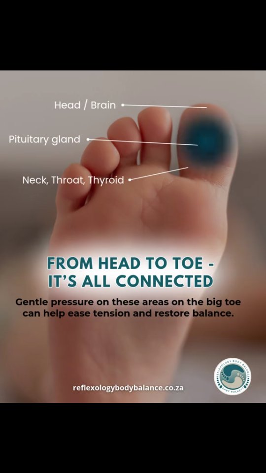 🦶 The Big Toe Reset – A Simple Night Ritual Before bed, sit quietly and massage your big toe for 2–3 minutes.
The tip of the big toe connects to the brain, in the centre to the pituitary gland, while the base links to the neck, throat, and thyroid. Gentle pressure here can:
✨ Ease mental tension and overthinking
✨ Support hormonal balance via the pituitary reflex
✨ Soothe throat discomfort and thyroid strain
✨ Promote deeper, more restful sleep
This practice is rooted in ancient healing traditions and backed by modern wellness science. It’s a non-invasive way to reconnect with your body and unwind after a long day.
💡 Try it tonight: Sit comfortably. Breathe deeply. Massage your big toe with slow, circular pressure. Let your body respond.
Your feet carry you all day. Let them restore you at night.
#reflexology #reflexologybodybalance #hormonalbalance #pituitary #thyroid #ReflexologyTips