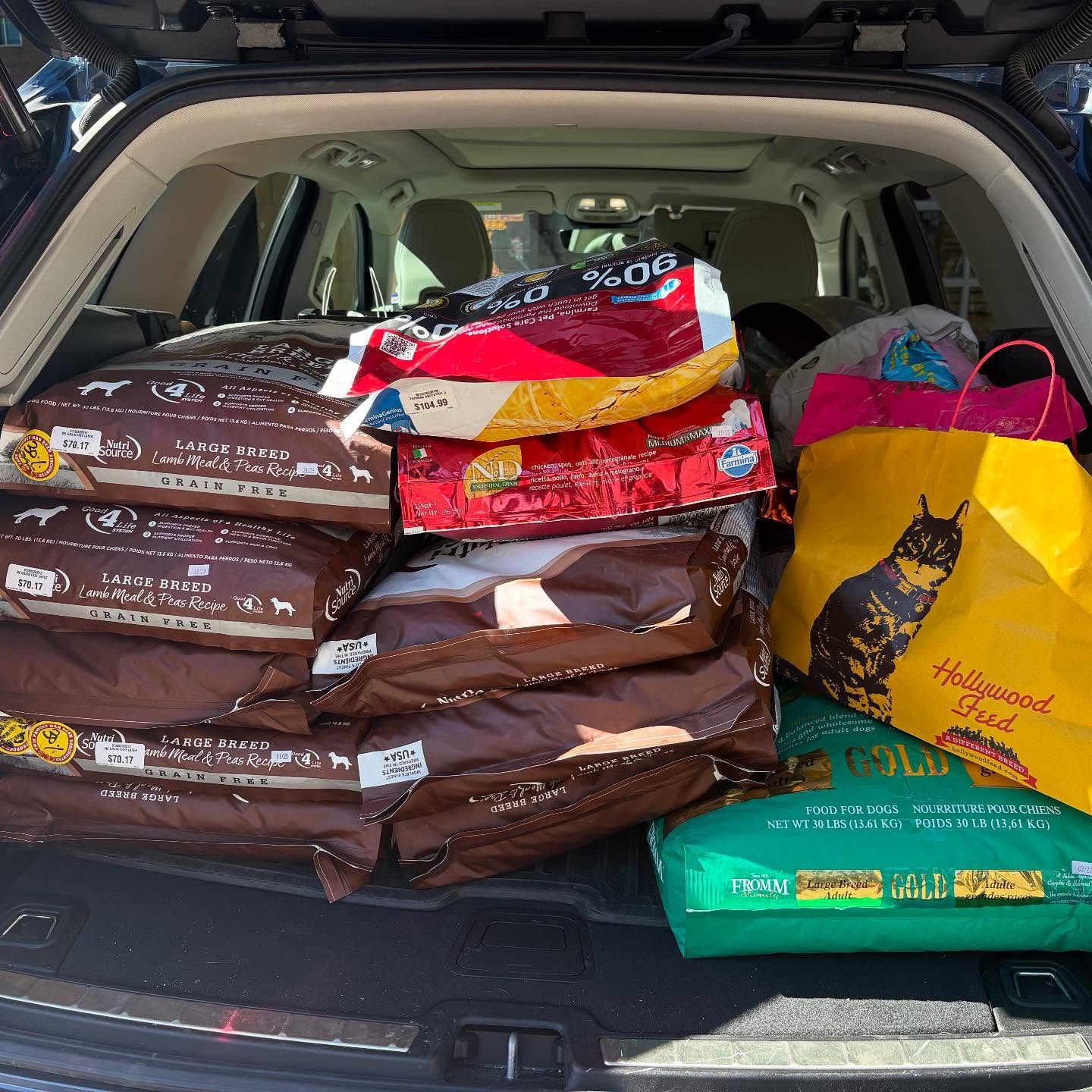 We are so grateful for our continued partnership with Hollywood Feed! Thanks to their generosity, another huge haul of items were dropped off today at Fort Worth Animal Care & Control ❤️