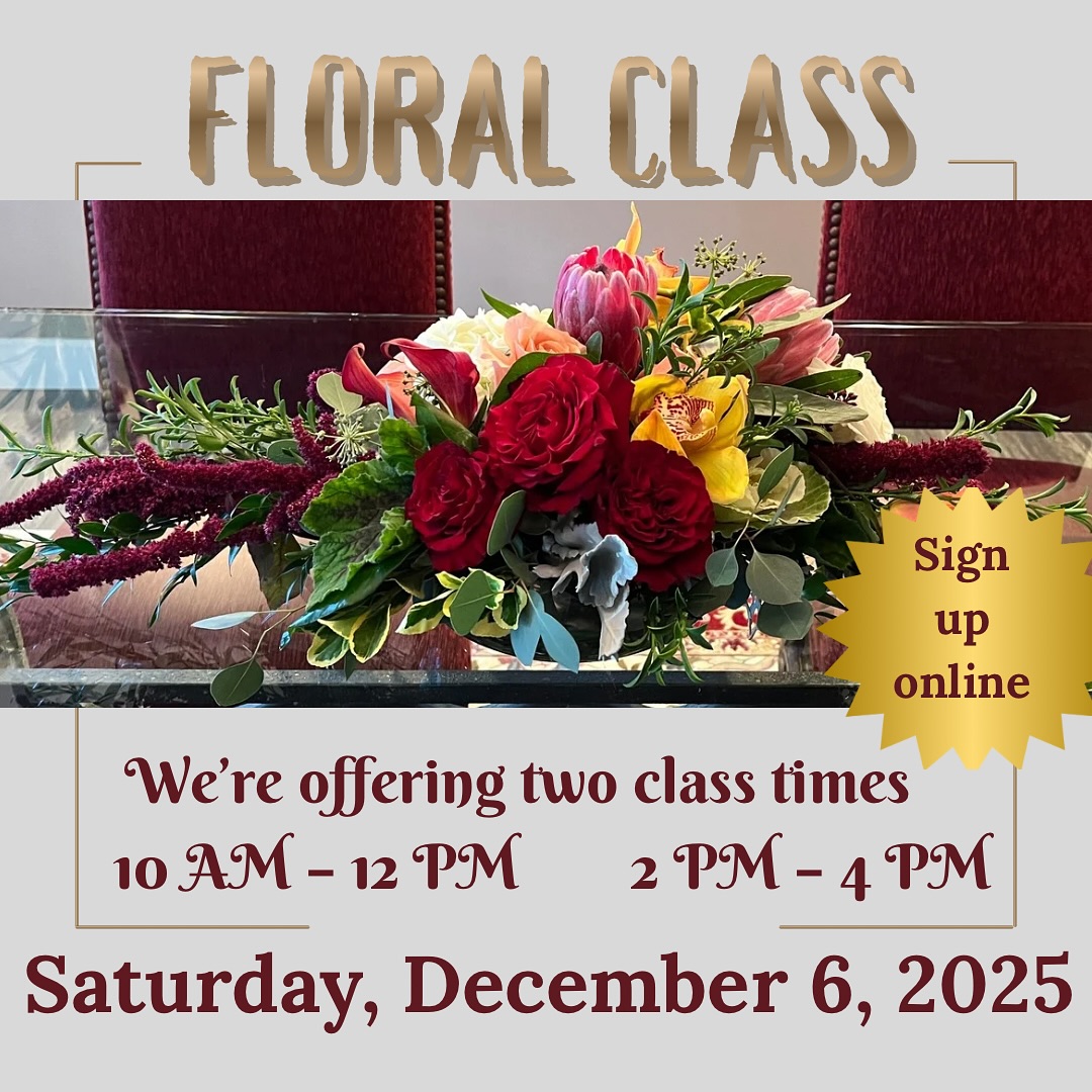 ❄️ Winter Blooms Workshop ❄️
Design your own stunning centerpiece with winter greens and specialty flowers. All supplies are included — just bring your creativity! 🌿✨
👉 Register online — link in our bio! #WinterWorkshop #FloralClass #FlowerWorkshop #CenterpieceDesign #WinterBlooms #FloralDesign #FlowerLovers #WinterFlorals #CreativeWorkshops #adoberosecustomforist #FlowerArt #SeasonalFlowers #FloralInspiration #HandsOnCreativity #BloomWithUs