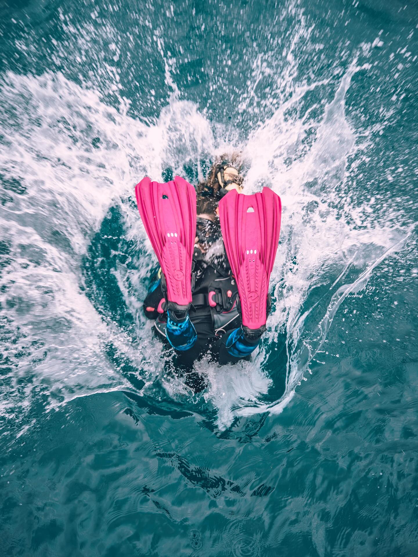 Mis días en el paraíso
💖🧚🏻♀️🪸🐋