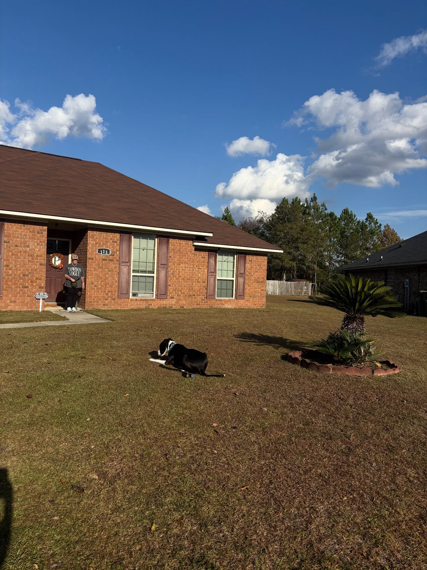 We love sharing results! This past weekend, Dieter proved that hard work pays off by acing his 4th lesson.
It’s always a great feeling to see a dog hold a down stay while neighbors are in their yard and kids are riding their bikes.
Plus, the heel work looks fantastic—making walks much more enjoyable for everyone.
#HappyHoundsDogTraining #DogObedience #DogTrainer #RealLifeTraining #DogGoals #DogsofSavannah
