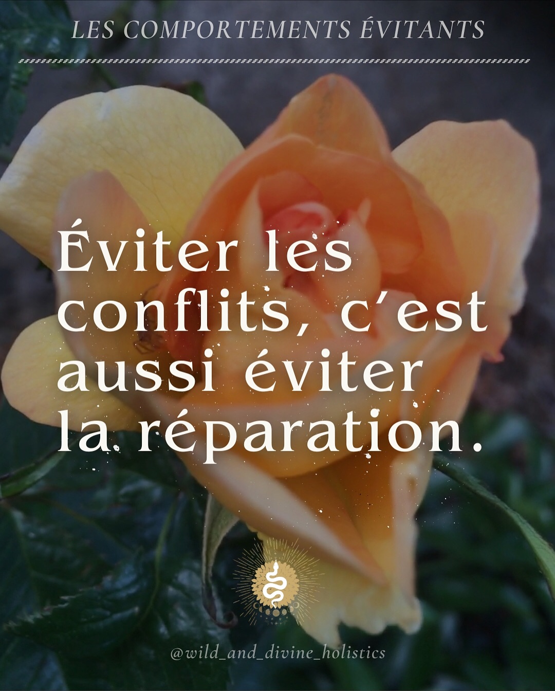 Si dans l’enfance personne ne nous a enseigné à réparer les relations, alors il y a des chances que ne sachions pas comment faire face à un conflit ni comment réparer.
Il n’est jamais trop tard pour apprendre à rester présent en soi et avec l’autre dans l’inconfort. Cela commence par recréer un climat de sécurité intérieure. Sans cette fondation essentielle, on ne peut pas avancer.
La sécurité intérieure n’est pas dans la tête mais dans le corps. Elle est liée au système nerveux. C’est pour cela que le travail somatique et psychocorporel est si intéressant. Il s’adresse directement au corps.
Liens en bio pour prendre rendez-vous 🫶
#somatique #psychocorporel #yogatherapeutique #traumas #psychotrauma #émotions #relationamoureuse #santémentale #intimité #attachementévitant #viedefamille #enfance #traumacomplexe #tspt #dissociation #securiteinterieure #tantraettrauma #wildanddivineholistics #santéetbienêtre