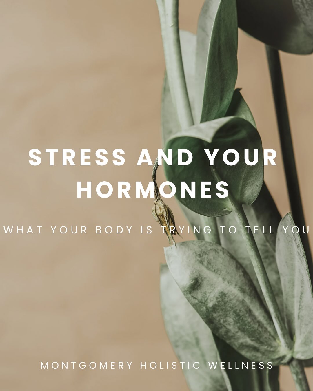 When cortisol stays high, estrogen, progesterone, and testosterone take the back seat — leaving you tired, anxious, and off balance.
✨ Slow down. Breathe. Your hormones thrive when you feel safe
💛 Save this as your gentle reminder to slow down this week
#hormonehealth #hormonebalance #holisticliving #holisticwellness #holistichealth #hormonehealing #holistichealing #wellness #stressmanagement #wellnessjourney #selfcare