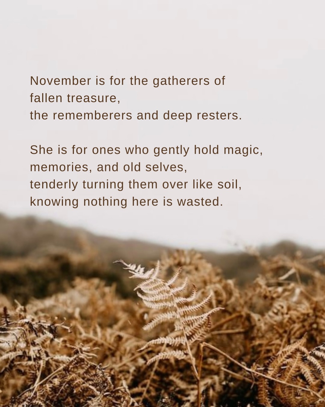 Come back to your breath for a moment.
Let yourself soften as you read.
November is here.
A month of returning to your roots and bones.
A month to lay down what is heavy and letting the earth hold you for a while.
Often we curse the dark, wishing it away because it slows us down.
It asks us to look inward,
And sometimes that is not a comfortable place to be.
Stillness, breath, rest and slowing can be some of the most challenging practices we know.
Trusting the unseen, not knowing what comes next, and resisting the urge to rush ahead into the new year.
It is hard, It is also normal.
AND this is the practice.
To keep coming back to the breath.
Back to centre.
Back to your heart,
and your inner light again and again and again.
However you are arriving in this month,
welcome yourself here.
If someone came to mind as you read this,
send it to them. Let’s not walk through this season alone.
I love you,
Ali xx
.
.
Rest / nature / folk / healing / feeling
.
.
#wordstoliveby #writersofinstagram #seasonalliving #slowdown #theartofslowliving #spiritualjourney #naturelovers #natureishealing #autumnenergy #november #londonwellbeing #breathwork #soundhealingtherapy #reiki #somaticexperiencing