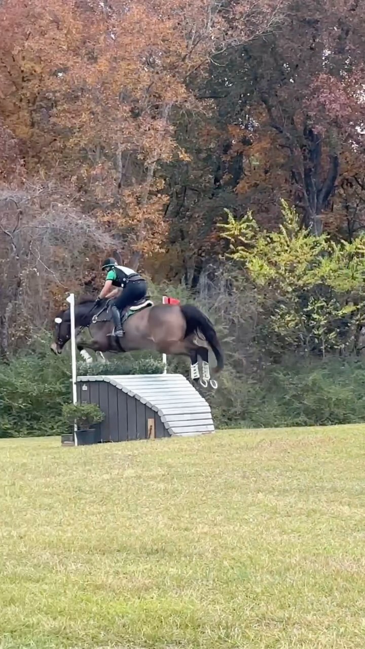 Thank you Teddy… you coming into my life changed me in so many ways… and healed me in ways you’ll never know💞. #fernhillfreestyle🍀