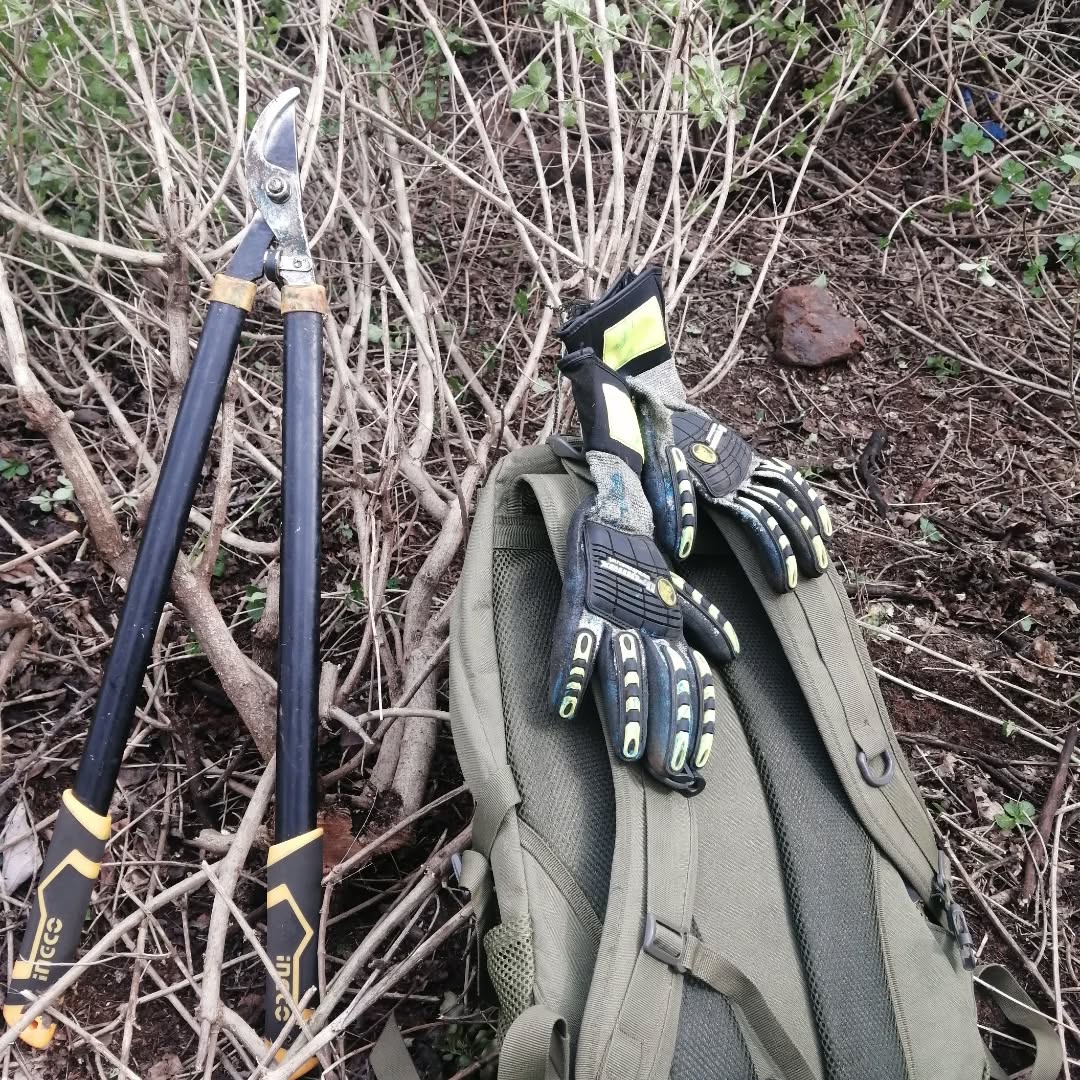 The most epic day in the bush 🔥💪! Battled those pesky Lantana invasives, got scratches and paint stains to show for it 🤣 But all worth it. With a cherry on top to finish off with a little owl rescuing mission🦉 #BushLife #WildlifeRescue #LantanaRemoval