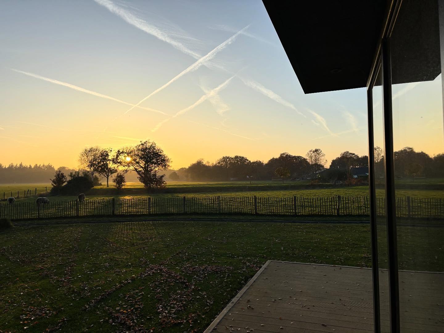 Een rustige herfstdag loopt op z’n einde.
Zon, schapen en het geluid van vogels op de achtergrond. Meer hoeft het niet te zijn. 🍂🌤️🧡